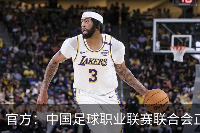 官方：中国足球职业联赛联合会正式成立